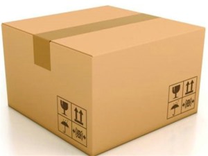 水果紙(zhǐ)箱包裝(zhuang)