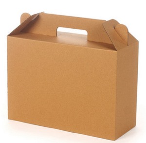 水果(guǒ)紙箱包(bao)裝廠