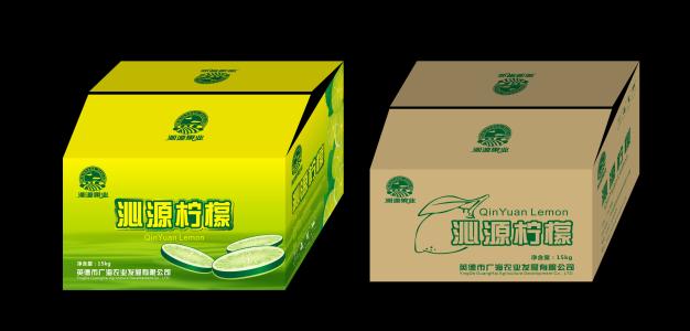 水果(guǒ)紙箱包裝設計(jì)的流程